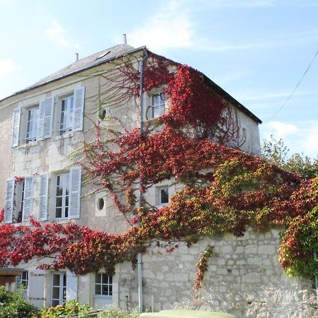 Gite Au Calme Avec Jardin Et Wifi A La Roche-Posay - Fr-1-541-52 Vila Exterior foto